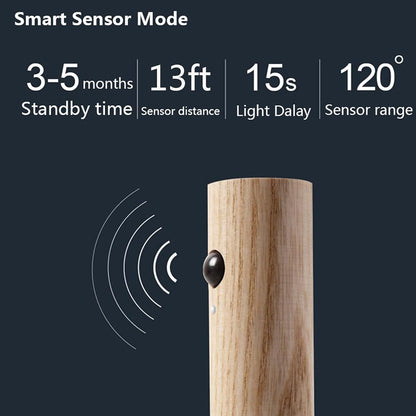 Smart Motion Sensor Light